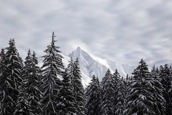 Seefeld Winterweitwanderweg 