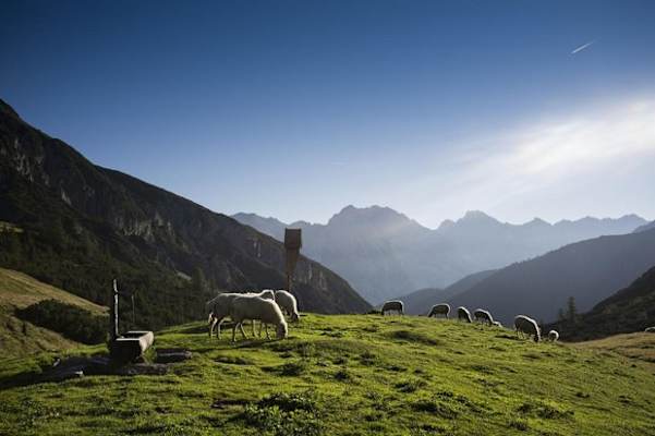 Adlerweg - Solsteinhaus
