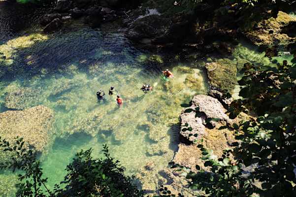 Flusstauchen in der Traun in Oberösterreich