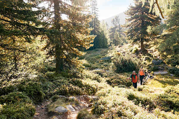 Auf dem Weg mit Gebietskenner Bernhard Kanzler