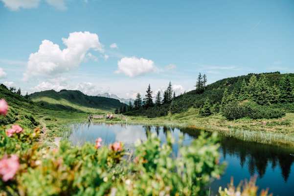 Salzburger Almenweg - traumhafte Landschaften inklusvie