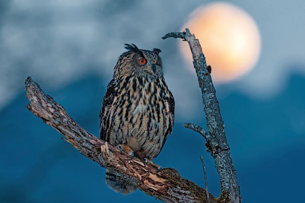 Naturjuwel Nationalparkregion Gesäuse