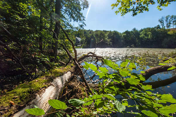 Im Naturpark Uckermärkische Seen