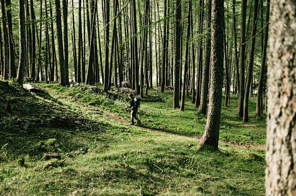 Karnischer Höhenweg