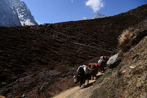 Expedition Manaslu Kammerlander