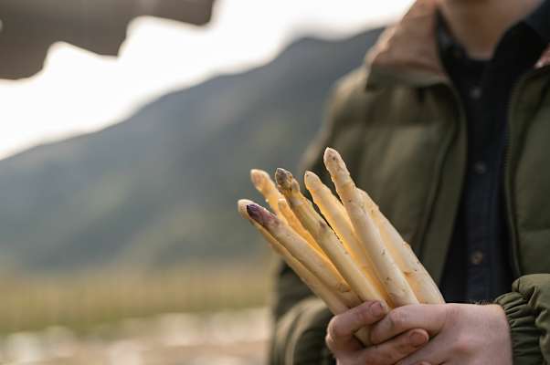 Die Kastelbeller Spargelwochen finden von Mitte April bis Ende Mai statt.