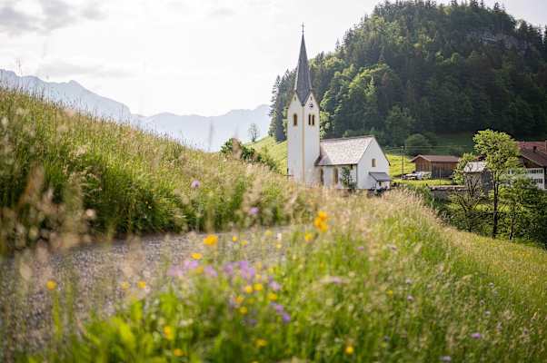 Im Weiler Tiefenbach sind die Blumenwiesen besonders artenreich und bunt.