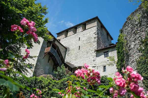 Wanderung: Drei Länder, vier Burgen