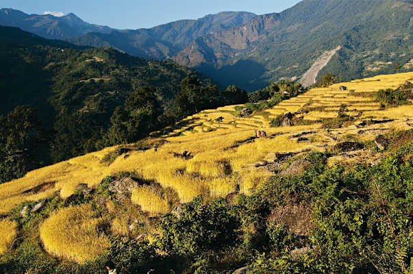 Bergwelten Himalaya Tyrolia