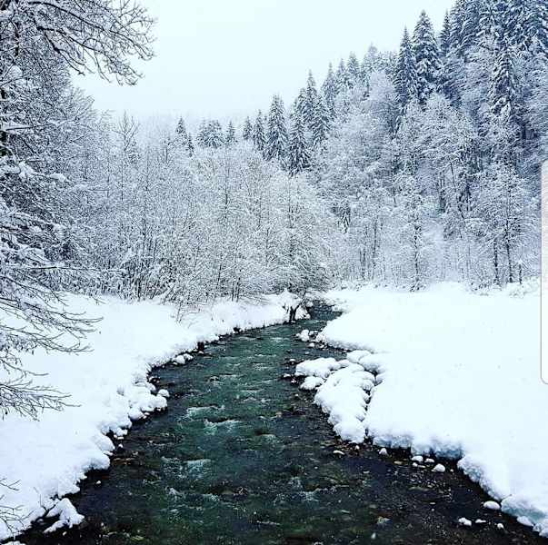 Winterlicher Spaziergang im Rheintal bei Garmisch-Partenkirchen