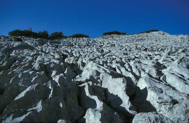 Die Hochfläche des Steinernen Meeres besticht durch ihre bizarren Karstformationen.