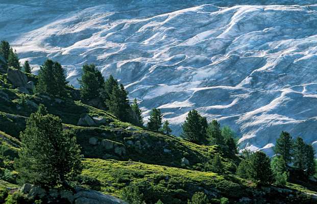 Der Grosse Aletschgletscher