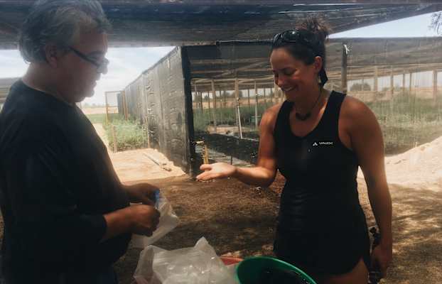 Ana Zirner Colorado River