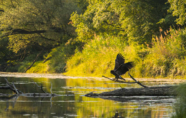 Nationalpark Donau-Auen