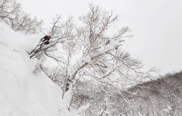 Mit dem letzten Drop des Tages landet Daniel Maurer im federleichten Powder