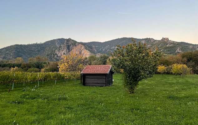 Dürnstein im Abendlicht