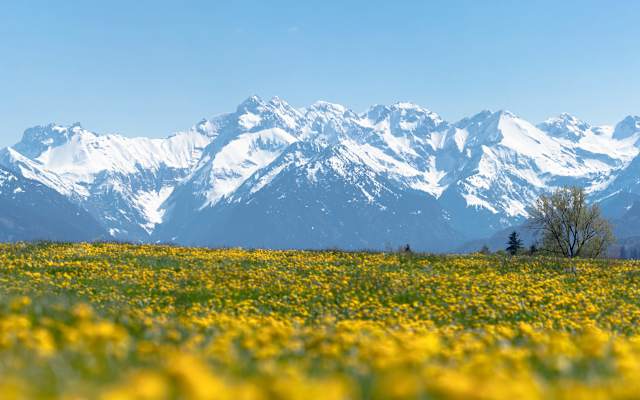 Der Allgäuer Hauptkamm im Frühling