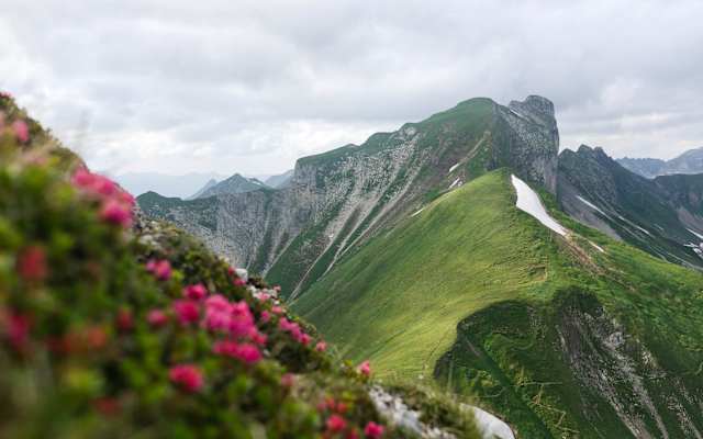Blick zum Himmelecksattel (2.007 m) zwischen Himmeleck im Norden und dem Großen Wilden im Süden