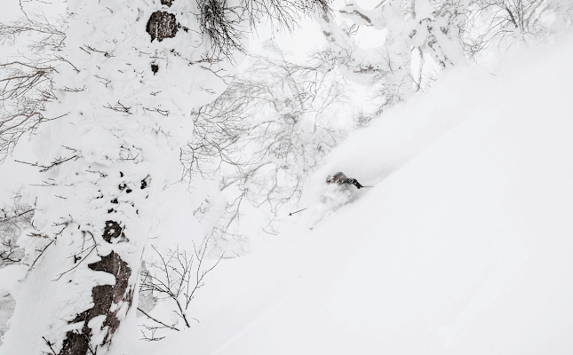 Josh verschwindet völlig im Whiteroom des japanischen Powder