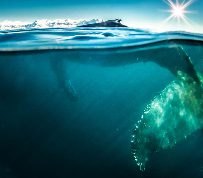 Polarmeer Fotostrecke