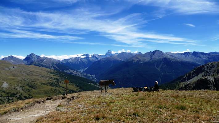 Mit dem Esel durch die französischen Alpen