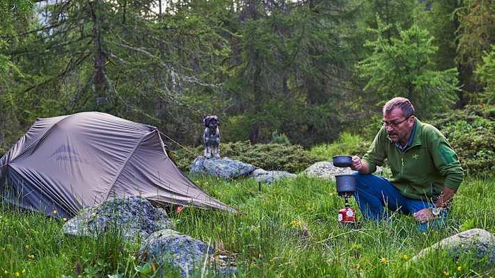 Zwei Schnauzer durchwandern die Schweiz