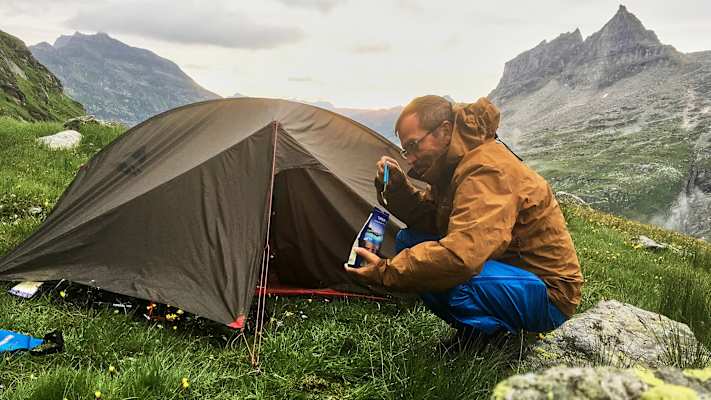 Zwei Schnauzer durchwandern die Schweiz