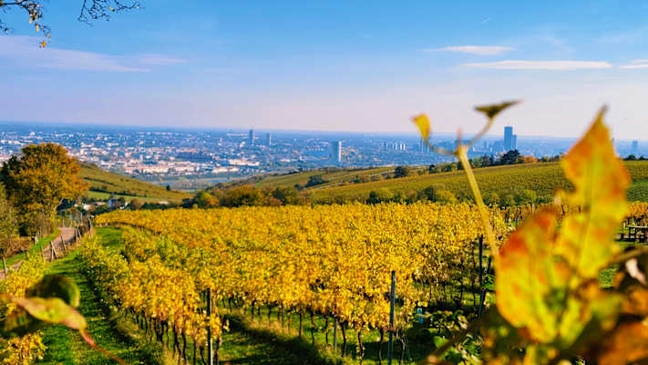 Die Tiefenschärfe fokussiert genau auf das Motiv, welches man hervorheben möchte.
