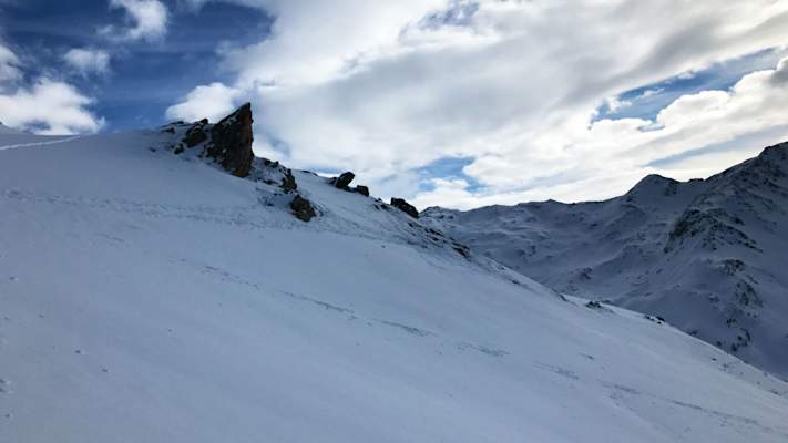 Tierspuren im Schnee: Äsungsgebiet der Gämsen