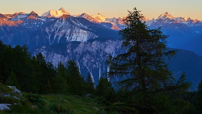 Zwei Schnauzer durchwandern die Schweiz