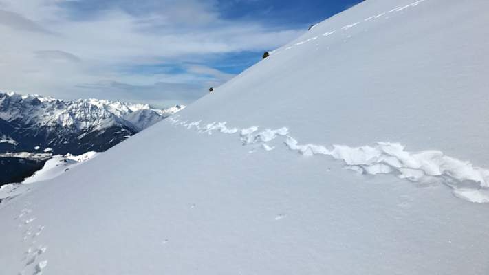 Tierspuren im Schnee: Südseite