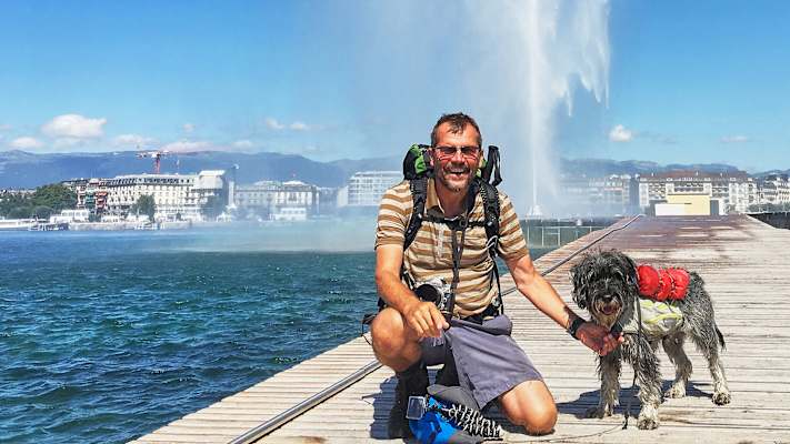 Zwei Schnauzer durchwandern die Schweiz