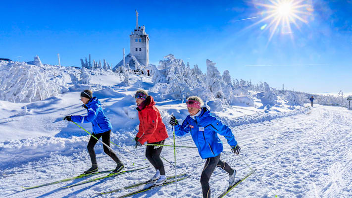 drei Personen gehen in der freien Natur im Winter in Sachsen nach draussen und gehen langlaufen.