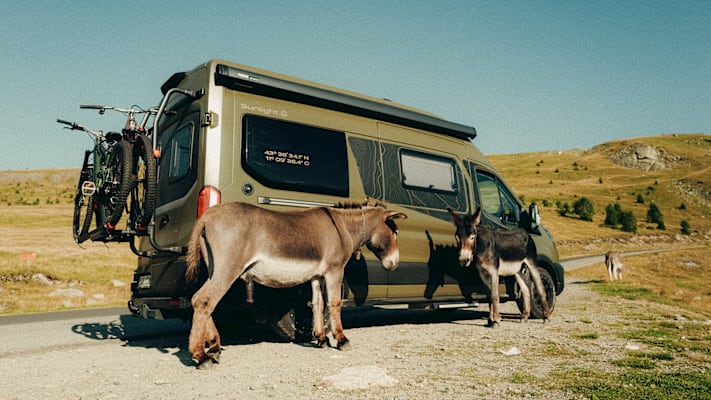In Rumänien auf der Landstraße steht ein Van umgeben von 3 Eseln.