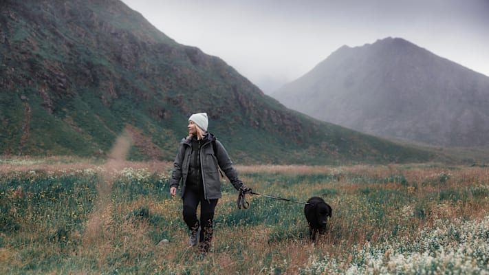 Ein Hund und eine Frau spazieren in der grünen Herbstwiese.
