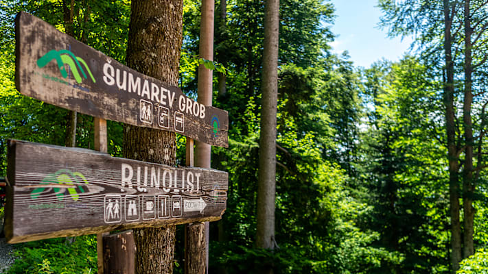 Holzschilder stehen im Wald und zeigen den Weg.