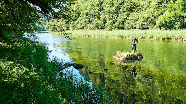 Zwei Schnauzer durchwandern die Schweiz