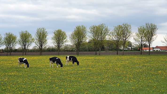 Mit dem Rad durch Dänemark