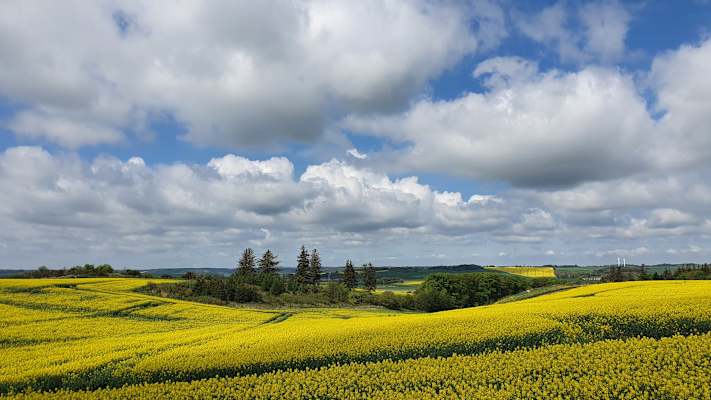 Mit dem Rad durch Dänemark