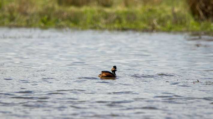 Mit dem Rad durch Dänemark