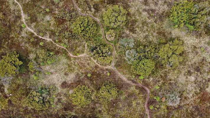 Mit dem Rad durch Dänemark