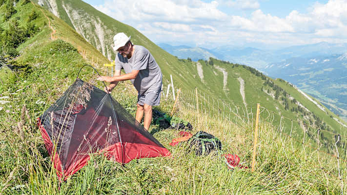 Zwei Schnauzer durchwandern die Schweiz