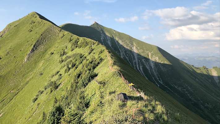 Zwei Schnauzer durchwandern die Schweiz