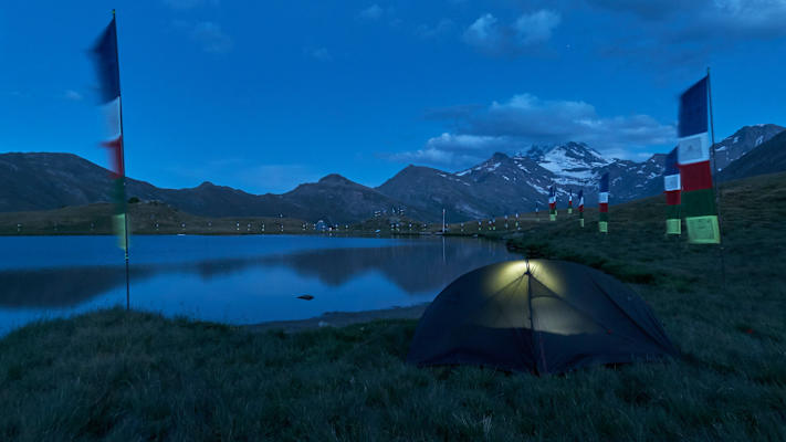Zwei Schnauzer durchwandern die Schweiz
