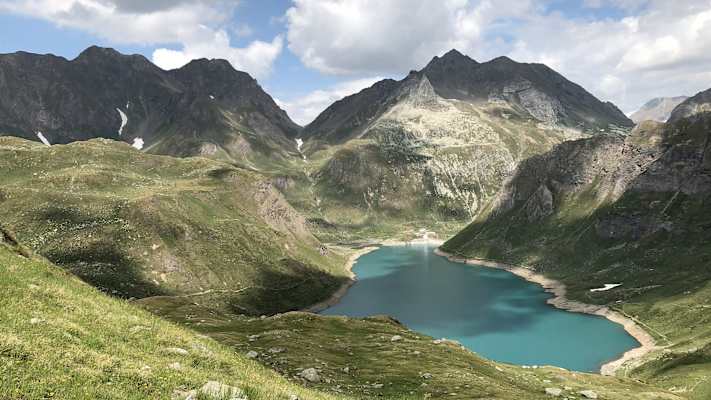 Zwei Schnauzer durchwandern die Schweiz
