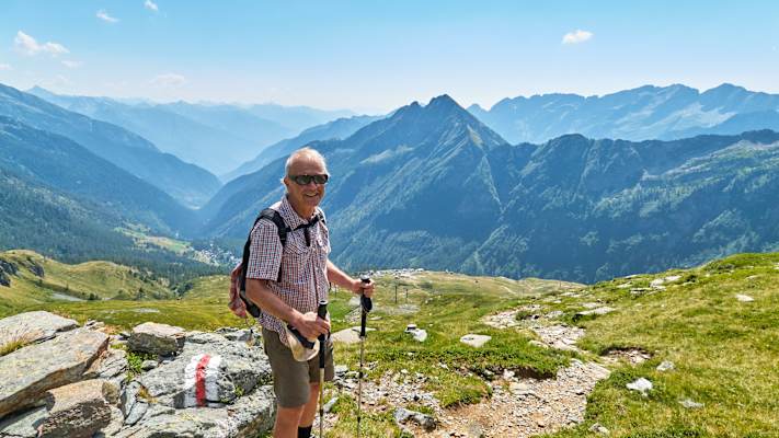 Zwei Schnauzer durchwandern die Schweiz