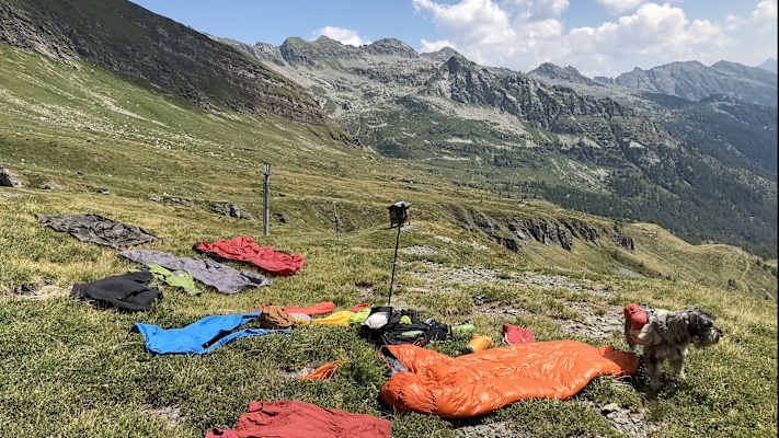 Zwei Schnauzer durchwandern die Schweiz