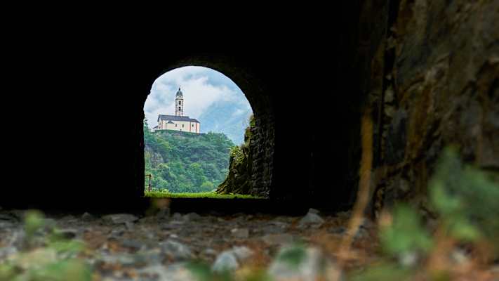 Zwei Schnauzer durchwandern die Schweiz