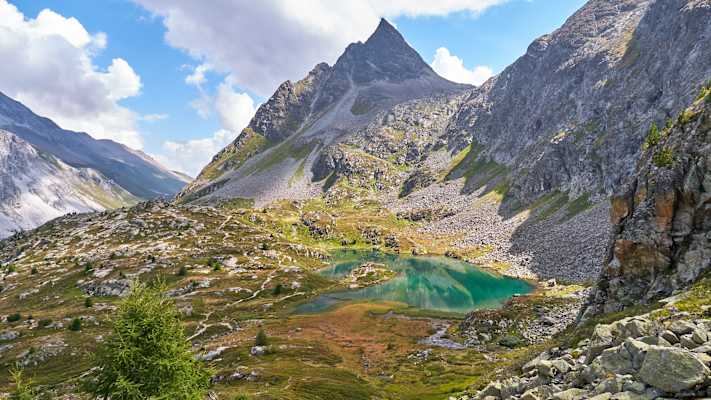 Zwei Schnauzer durchwandern die Schweiz