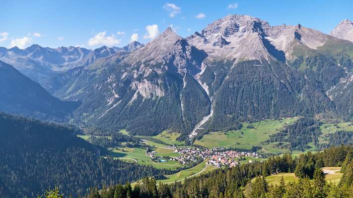 Zwei Schnauzer durchwandern die Schweiz